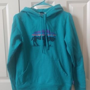Patagonia Buffalo Hoodie